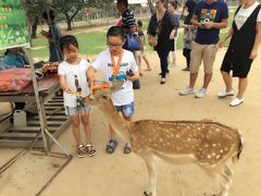 -西安秦岭野生动物园