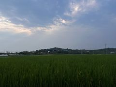 -栖凤渡鱼粉基地凤楚传奇