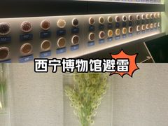 -青藏高原自然博物馆