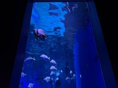 -顺德南宏海立方海洋公园