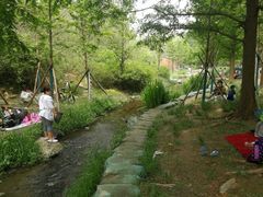 -白水寺森林公园