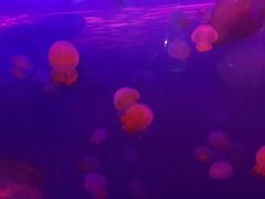 -常州海昌海洋探索馆