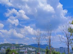-玫瑰海岸文化旅游度假区