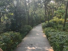-宝界山林公园