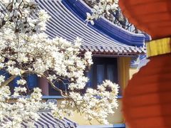 -灵谷景区