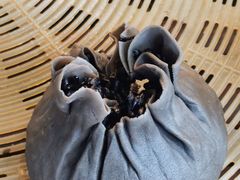 -旺福楼·包点(碑亭巷店)