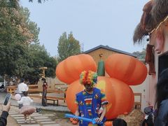 -HERRE·FARM 赫尔露营农场·团建聚会包场