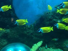 -石家庄海洋公园