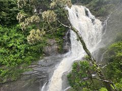 -海南热带雨林国家公园吊罗山景区