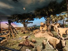 -国家自然博物馆