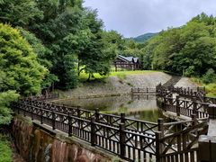 -云岭野山参风景区