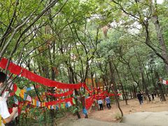 -灵岩山风景区