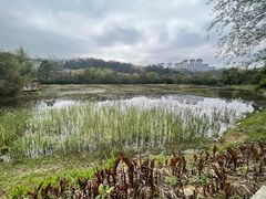 -贵阳市花溪国家城市湿地公园