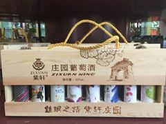 -紫轩葡萄酒庄园
