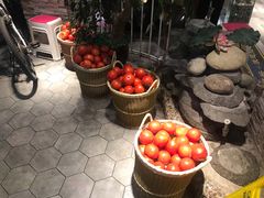 -蕃茄述·好汤自然来(江汉路店)