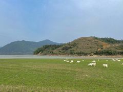 -白鹭湾湿地公园