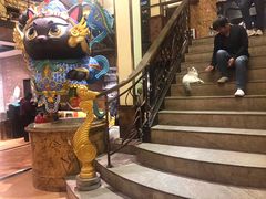 -more than meow吴止猫主题餐厅(承德 中船汇店)