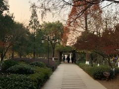 -白马涧龙池景区
