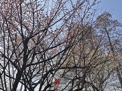 -无锡梅园公园