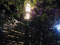 -月圆霖特色农家乐