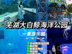 -芜湖新华联大白鲸海洋公园
