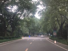 -南郊宾馆·风味自助餐厅·山东十六地市特色菜