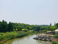 -上海长兴岛郊野公园