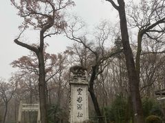 -灵谷景区
