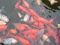 -仙海旅游度假区