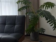 -翼森原创设计·全案实景落地