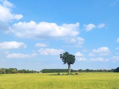 -嘉北郊野公园