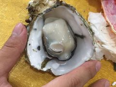 -蚝专家(北滘店)