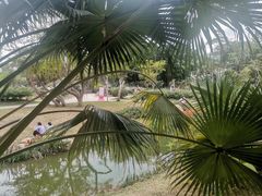 -人民公园(罗湖区)