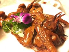 -金河半岛园林酒家(金融城店)