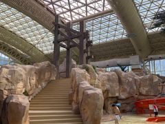 -杭州开元森泊度假乐园