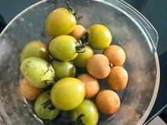 -季季山·云南野生菌火锅(上海首店)