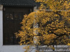 -青果巷历史文化街区