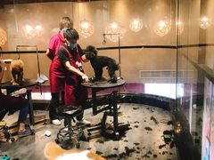 -MOLLY'S萌宠生活馆