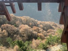 -少华山国家森林公园