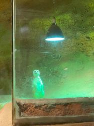 -酷嗒动物文化乐园(cutezoo西溪乐天城店)