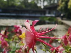 -郭庄景区