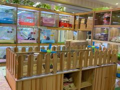 -宠物兔专门店(天丰利市场店)