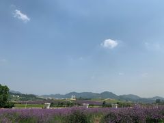 -光明小镇欢乐田园