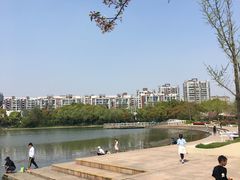 -新江湾城公园