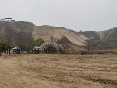 -古柏渡飞黄旅游区