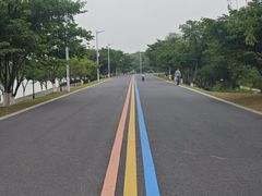 -羊山湖公园