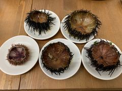 -海胆小馆(东北水饺·春柳店)