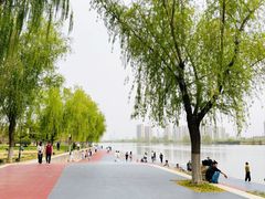 -咸阳湖景区