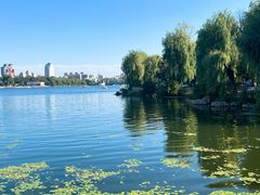 -长春市南湖公园