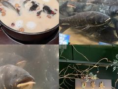 -上名堂·鱼头好吃(体育场路店)